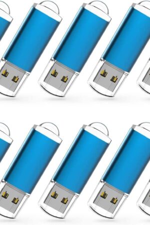 RAOYI 10 Pack 1GB 1G USB Flash Drive USB 2.0 Memory Stick Bulk Thumb Drive Pen Drive Blue