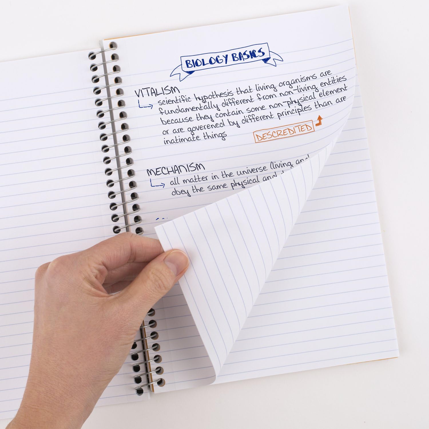 Five Star Spiral Notebook, 5 Subject, College Ruled Paper, 6" x 9-1/2", 150 Sheets, Selected Colors Will Vary, 6 Pack (840030A) - Image 2