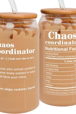 Thank You Gifts for Women, Boss, Coworker, Manager, Office, Teacher, Nurse, Mom - Chaos Coordinator Gifts - Boss Lady Gift for Women - Office Coworker Birthday Gift - 16 Oz Can Glass
