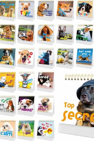 40 Pages Funny Desk Sign, 34 Different Fun and Flip-Over Messages plus 6 Erasable Blank Pages, Funny Desktop Flip Book for Office Gifts Desk Accessories (Dog Design)